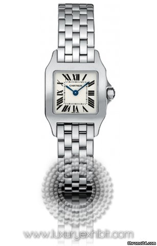 Cartier Santos Demoiselle Stainless Steel Ladies Watch W25064Z5