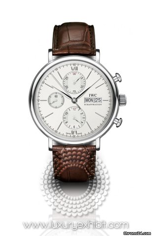 IWC Portofino Stainless Steel Mens Watch 3910-01
