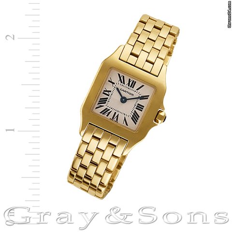 Cartier Santos Demoiselle W25063X9
