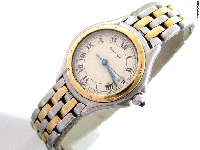 Cartier Cougar Panthere