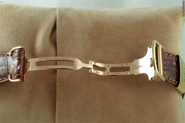 Cartier Pasha Oro WATCHES 2