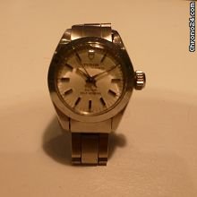 Tudor lady steel