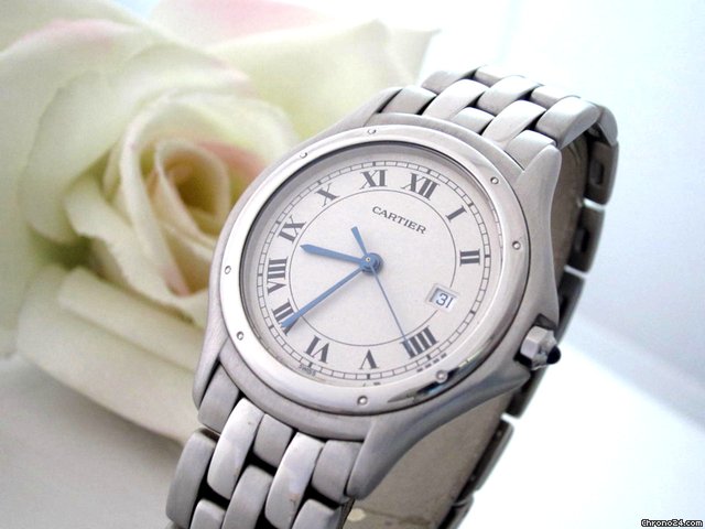 Cartier Cougar Medium  Stahl /Stahl