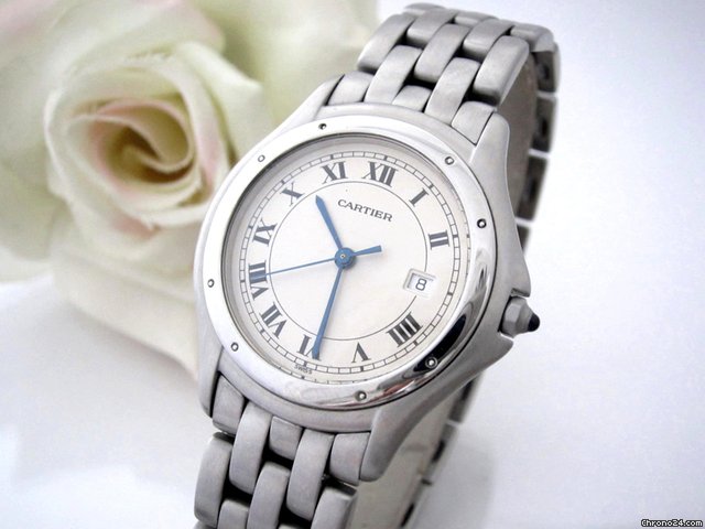 replica Cartier Cougar Medium Stahl/Stahl WATCHES 1 