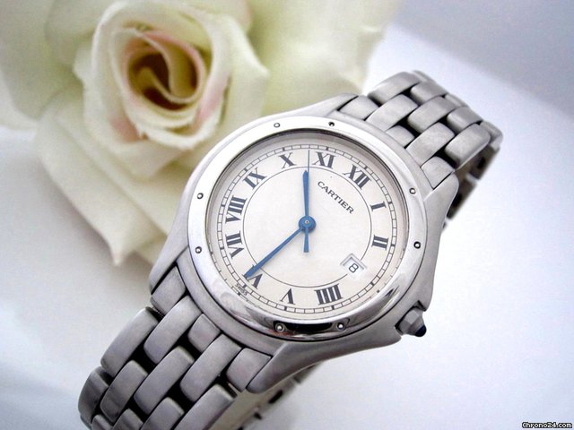Cartier Cougar Medium Stahl/Stahl