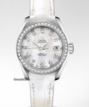 Omega Seamaster Aqua Terra Gioielleria/D.S.R.NEW