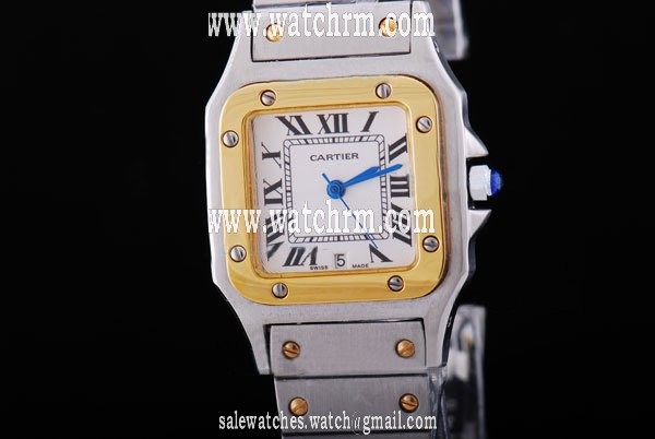 Cartier Santos 100 W200728G 29mm Stainless Steel Case Womens Watch