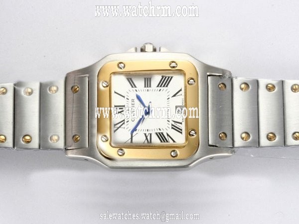 Cartier Santos 100 W200728G Mens 30x30mm Stainless Steel Case Watch