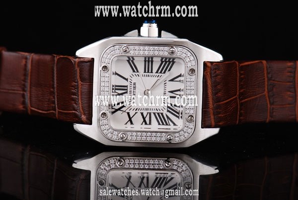 Cartier Santos 100 W20072x7 29x40mm Stainless Steel Case Watch