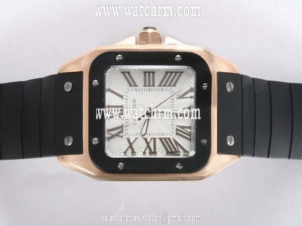 Cartier Santos 100 W20072X7 Stainless Steel Bezel Stainless Steel Case White Dial Watch