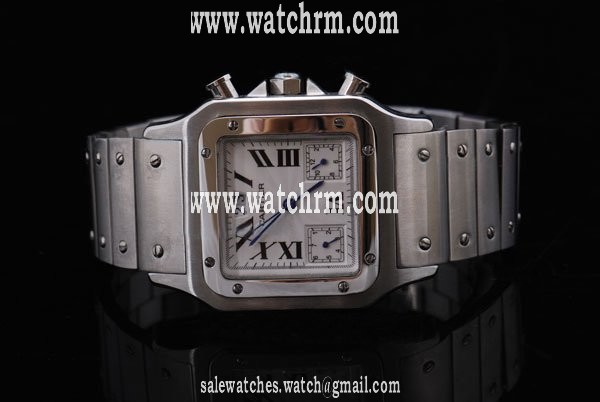 Cartier Santos 100 w200737g Automatic Mens Stainless Steel Bezel Watch