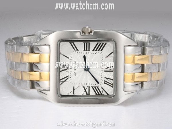 Cartier Santos 100 W200737G Mens 27x36mm Silver 18k Gold Strap Watch
