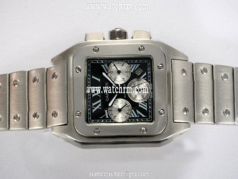 Cartier Santos 100 w200737g Silver Stainless Steel Strap Mens Stainless Steel Bezel Watch
