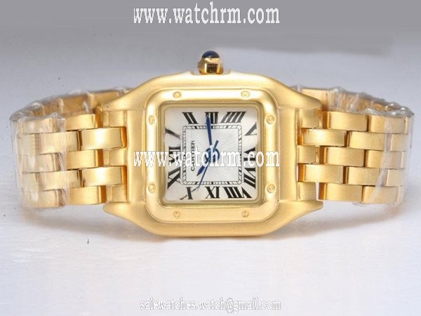 Cartier Santos 100 W200737G Stainless Steel with 18k Gold Bezel Womens Watch
