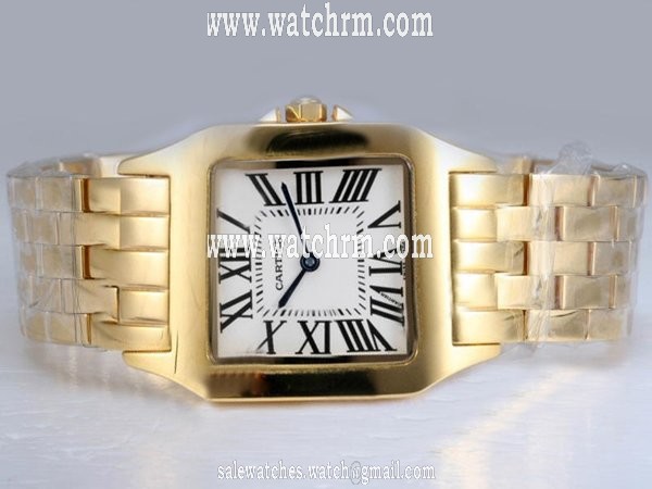 Cartier Santos 100 W25063X9 Mens Gold 18k Gold Strap Square Watch