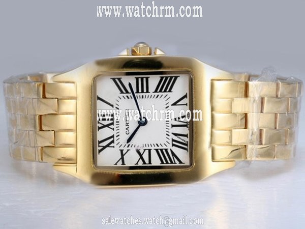 Cartier Santos 100 W25063X9 Stainless Steel with 18k Gold Bezel Quartz White Dial Watch
