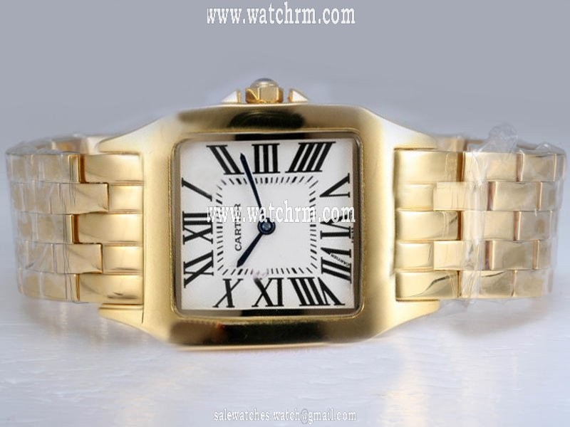 Cartier Santos 100 w25063x9 White Dial Stainless Steel with 18k Gold Bezel Quartz Watch