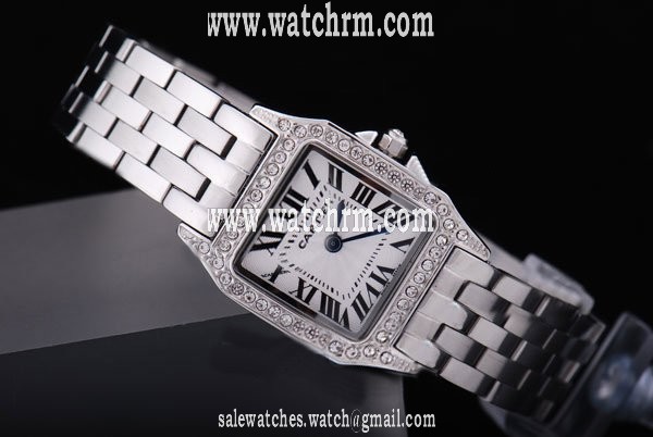Cartier Santos 100 wf9003y8 Silver Stainless Steel Strap Stainless Steel Bezel White Dial Watch