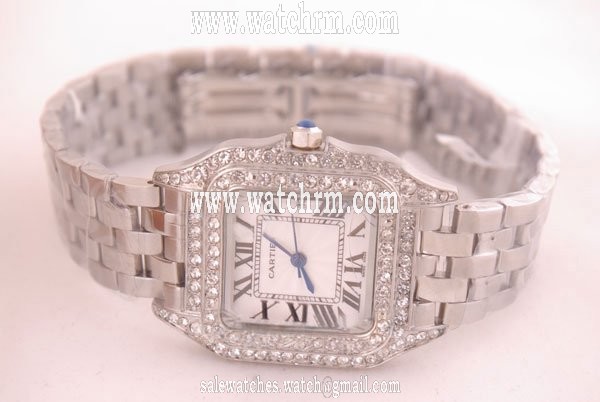 Cartier Santos 100 WF9003Y8 Womens Silver Stainless Steel Strap Watch
