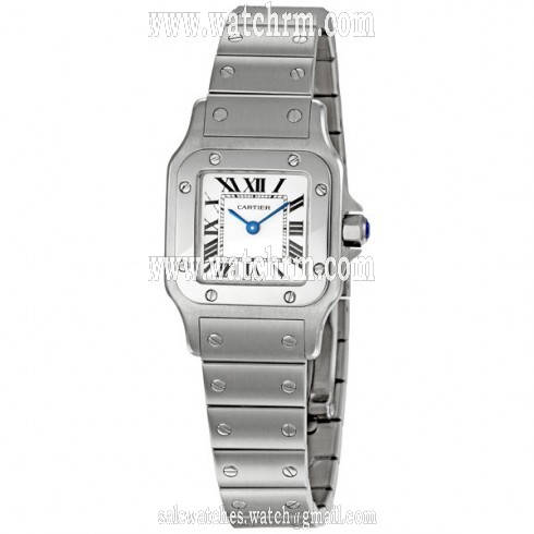 Cartier Santos de Cartier Steel Silver Guilloche Roman Dial Ladies Watch W20056D6
