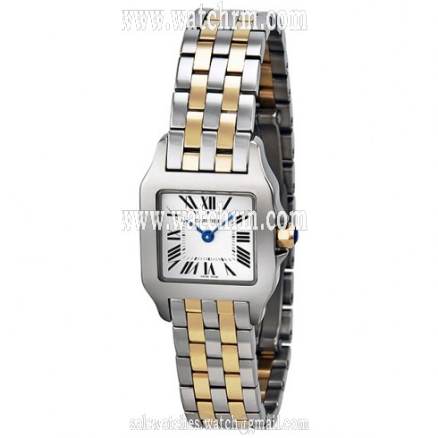 Cartier Santos Demoiselle 18kt Yellow Gold and Steel Ladies Watch W25066Z6