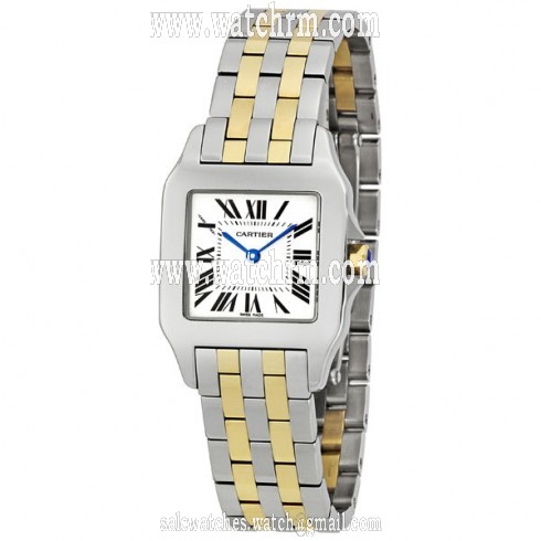 Cartier Santos Demoiselle 18kt Yellow Gold and Steel Midsize Ladies Watch W25067Z6