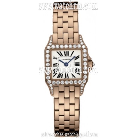 Cartier Santos Demoiselle  Ladies Watch WF9008Z8