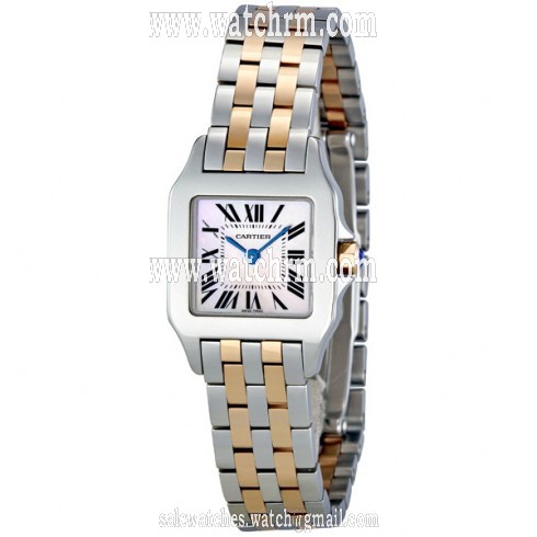 Cartier Santos Demoiselle Pink Mother of Pearl Dial Two Tone Steel Ladies Watch W25074Y9