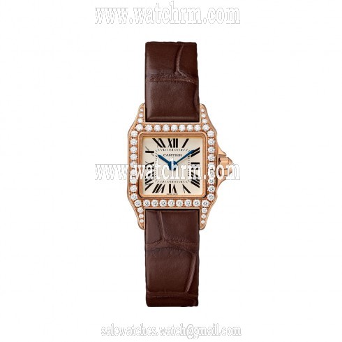 Cartier Santos Demoiselle Silver Dial Ladies Watch WF902006