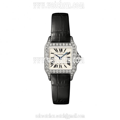 Cartier Santos Demoiselle Silver Dial Ladies Watch WF902007