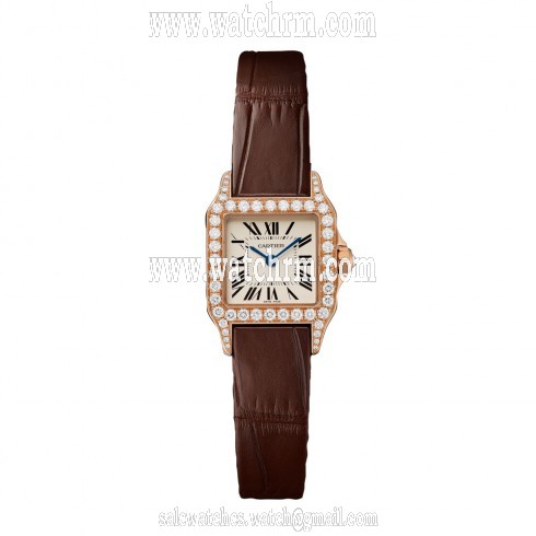 Cartier Santos Demoiselle Silver Grained Dial Ladies Watch WF902004
