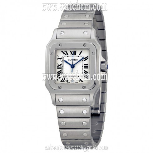 Cartier Santos Men's Watch W20060D6
