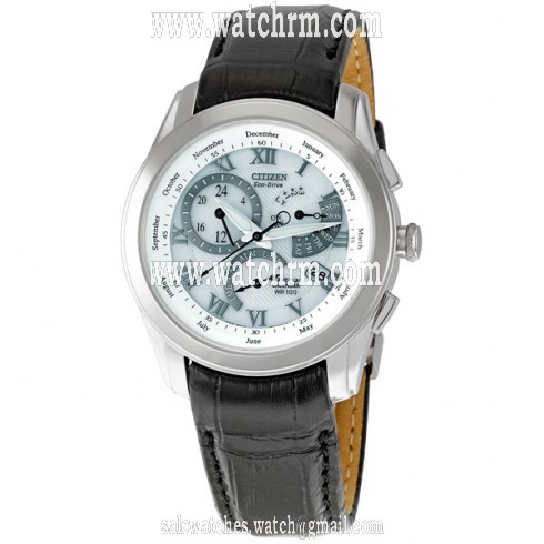 Citizen Calibre 8700 Eco-Drive Perpetual Calendar Men's Watch BL8000-03A