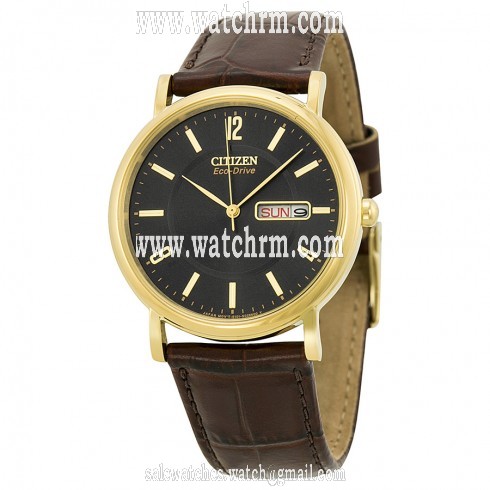 Citizen Eco Drive Black Dial Gold-tone Stainless Steel Brown Leather Men's Watch BM8242-08E