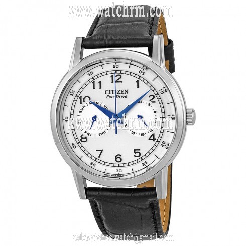 Citizen Eco-Drive Silver Dial Stainless Steel Black Leather Men's Watch AO9000-06B