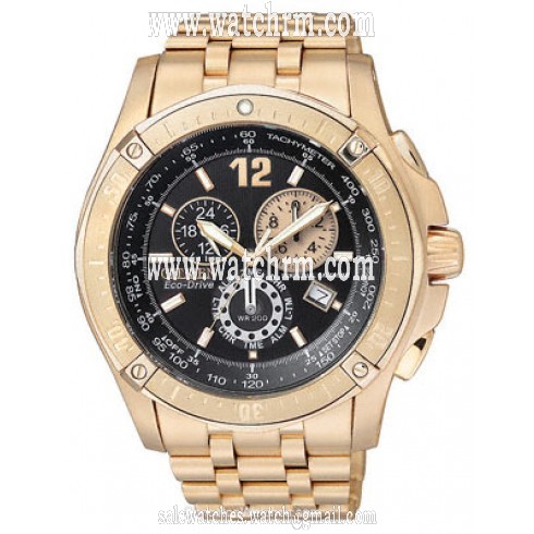 Citizen Perpetual Calendar Men's Watch BL5373-53E