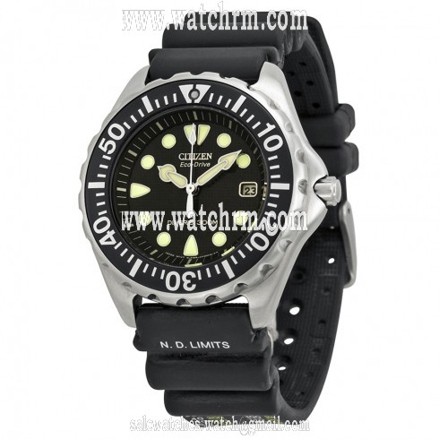 Citizen Professional Diver Eco-Drive Men's Watch BN0000-04H