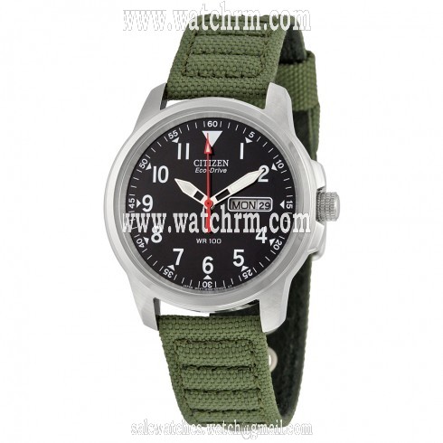 Citizen Strap Eco-Drive 180 Men's Watch BM8180-03E