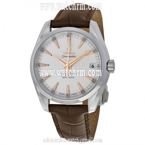 Omega Aqua Terra 150m Master Co-Axial Silver Dial Brown Leather Men's Watch 23113392102003