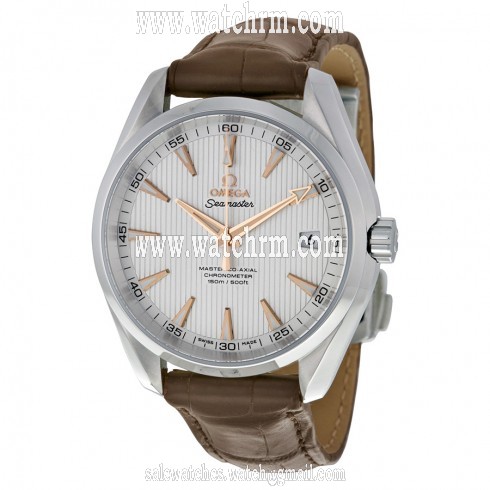 Omega Aqua Terra 150m Master Co-Axial Silver Dial Men's Watch 231.13.42.21.02.003