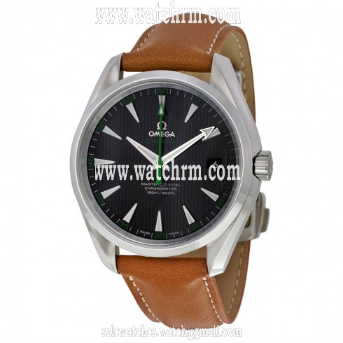 Omega Aqua Terra 150m Master Co-Axial Black Dial Men's Watch 231.12.42.21.01.003
