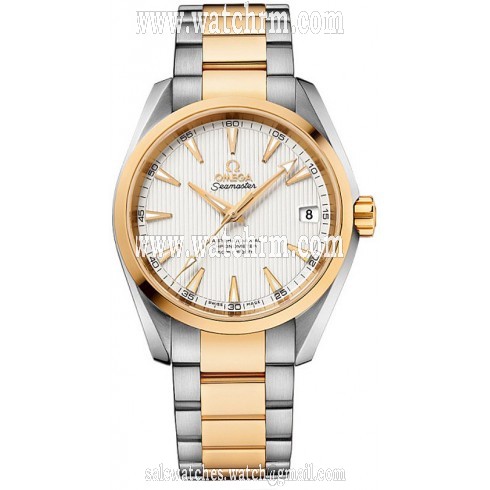 Omega Aqua Terra Master Co-Axial Silver Dial Ladies Watch 231.20.39.21.02.002
