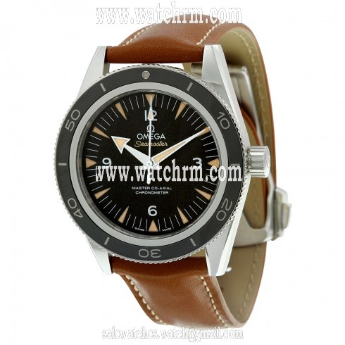 Omega Seamaster 300 Black Dial Automatic Men's Watch 233.32.41.21.01.002