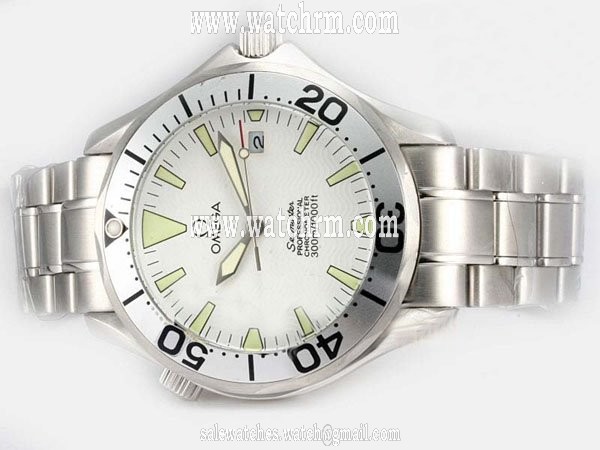 Omega Seamaster 300 M GMT 2538.20.00 Midsize 41mm Automatic Watch