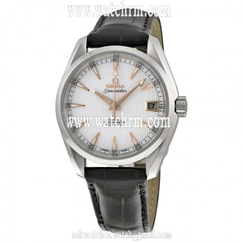 Omega Seamaster Aqua Terra Automatic Silver Dial Brown Leather Men's Watch 23113392102002