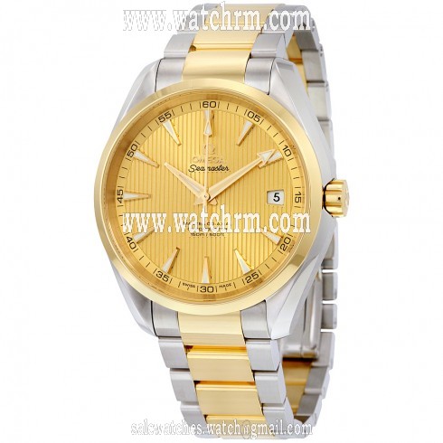 Omega Seamaster Aqua Terra Steel and 18k Yellow Gold Automatic Men's Watch 23120422108001