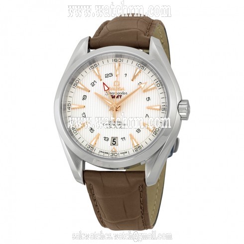 Omega Seamaster Aqua Terra GMT Silver Dial Brown Leather Men's Watch 23113432202004