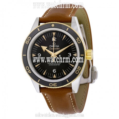 Omega Seamaster Automatic Black Dial Brown Leather Men's Watch 233.22.41.21.01.001