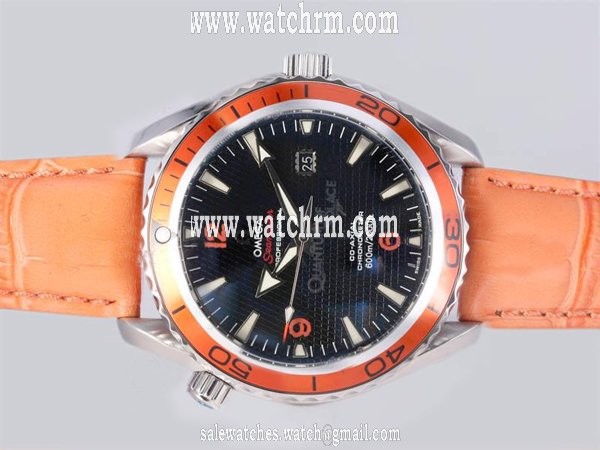 Omega Seamaster Planet Ocean 2909.50.83 Round Automatic Black Dial Watch