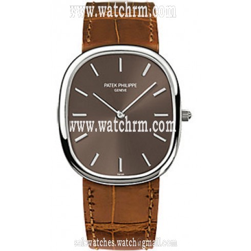 Patek Philippe Golden Ellipse Brown Dial Brown Leather Men's Watch 3738/100G-012